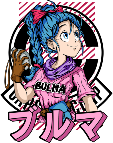 AN0010-bulma-ANIME