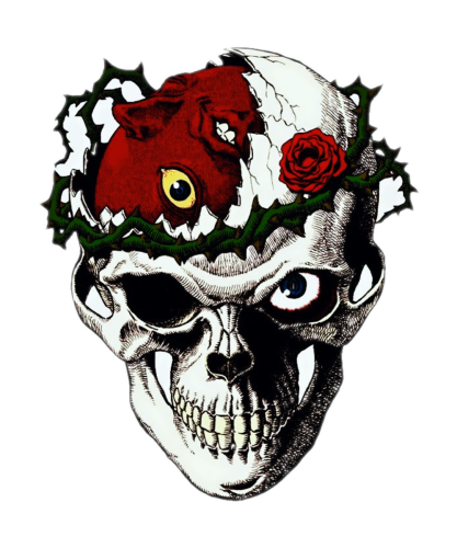 AN0371-Berserk
