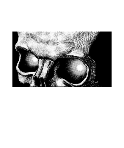 AN0375-Berserk