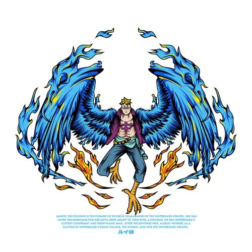 AN0419-Marco