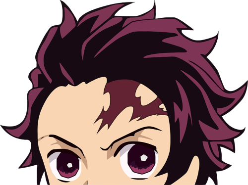 AN0506-tanjiro1